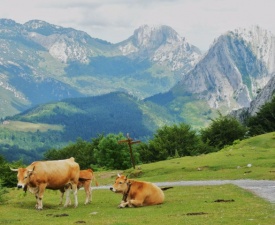 Urkiola trail